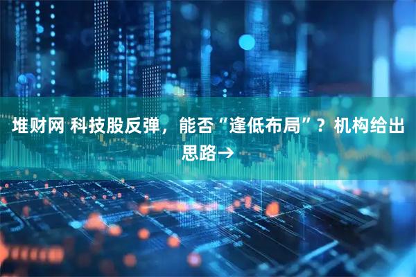 堆财网 科技股反弹，能否“逢低布局”？机构给出思路→