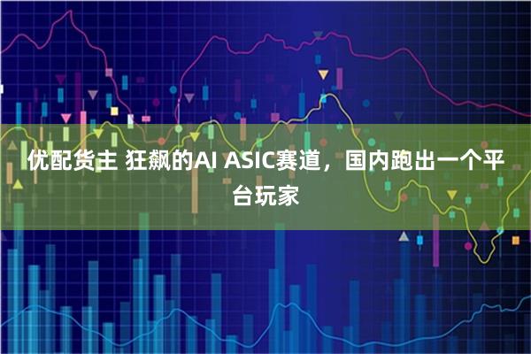 优配货主 狂飙的AI ASIC赛道，国内跑出一个平台玩家